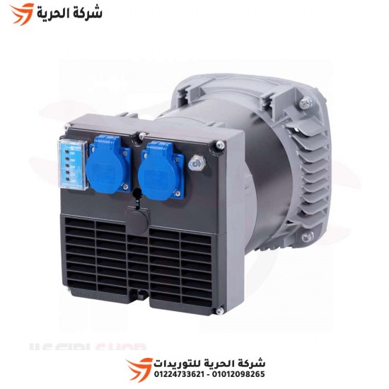 Generator dynamo 4.2 kilograms, 220 volts, Italian NSM, model K100 E