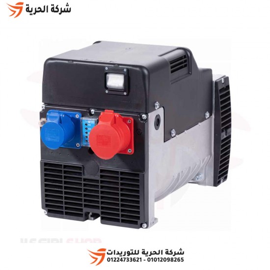Generatore dinamo 15 chilogrammi, 220 volt, NSM italiano, modello ZR112 SC