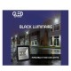 BLACK spotlights for swimming pools and halls