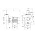 Self-priming water pump, 1 HP, Italian SAER AP97B 1 HP