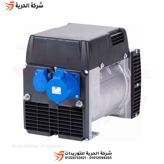 Generator dynamo, 5 kilograms, 220 volts, Italian NSM, model M100 LH