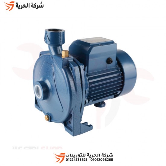 MARQUIS 1.5 HP water pump, model MCP170