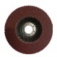 Fan sanding disc, 5 inches, stainless steel, hardness 40