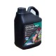 Detergente per vetri Glance - 5 litri Brothers EXTRA GLANCE