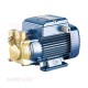 PEDROLLO 0.25 HP water pump, Italian model PV55