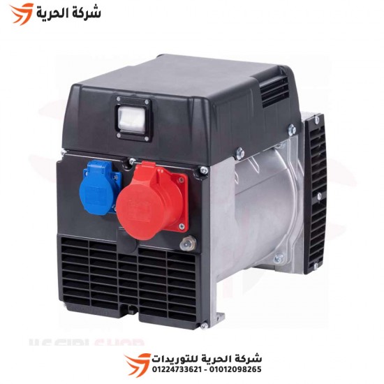 Generator dynamo 8.5 kilograms, 380 volts, Italian NSM, model T100 LA