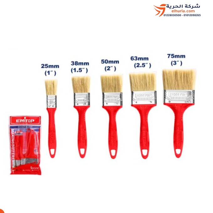 Paint brush set, 5 pieces, Chinese brand EMTOP