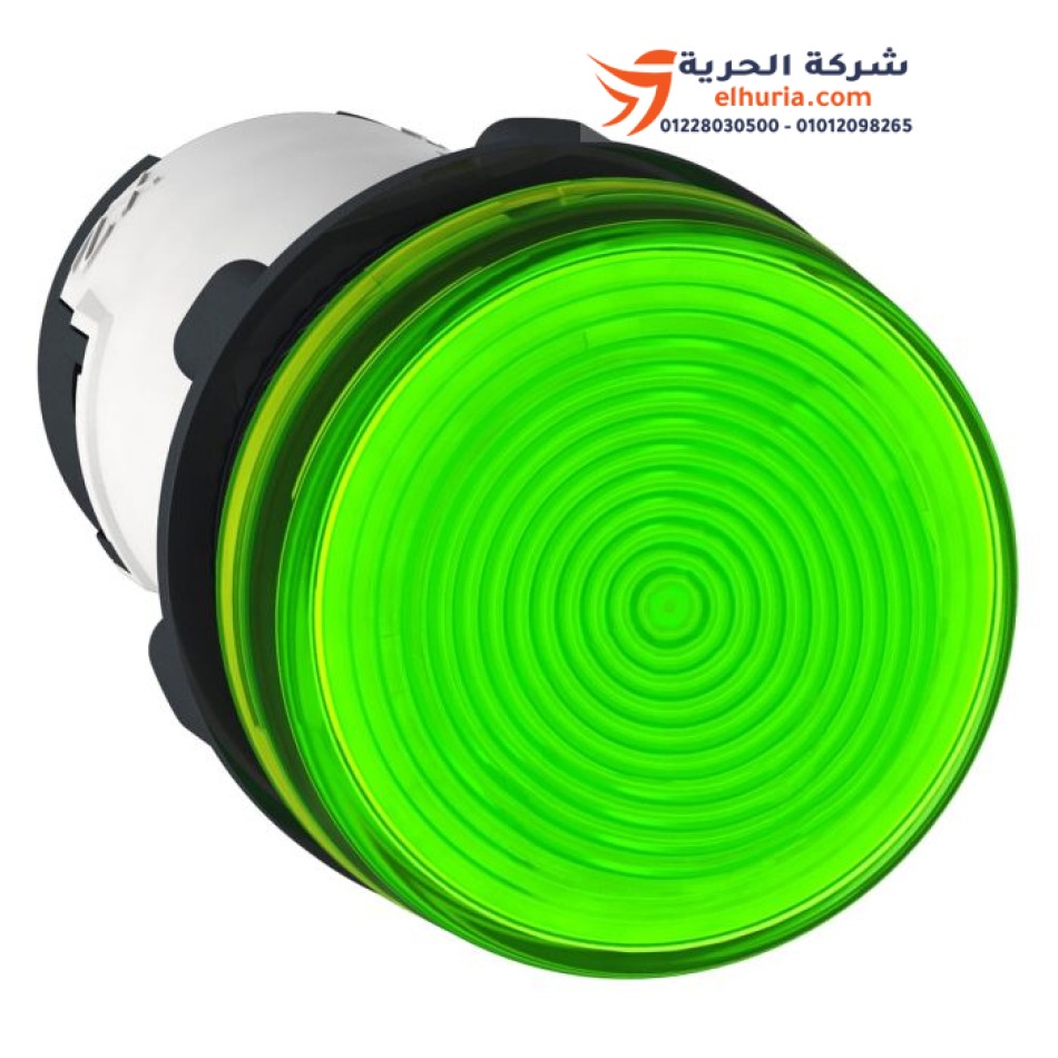 Grüne Signallampe aus Kunststoff von Schneider Electric (ohne interne Lampe)
