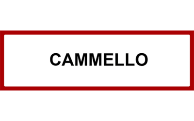 CAMMELLO